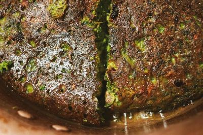 Kuku Sabzi