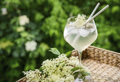 Elderflower Cordial